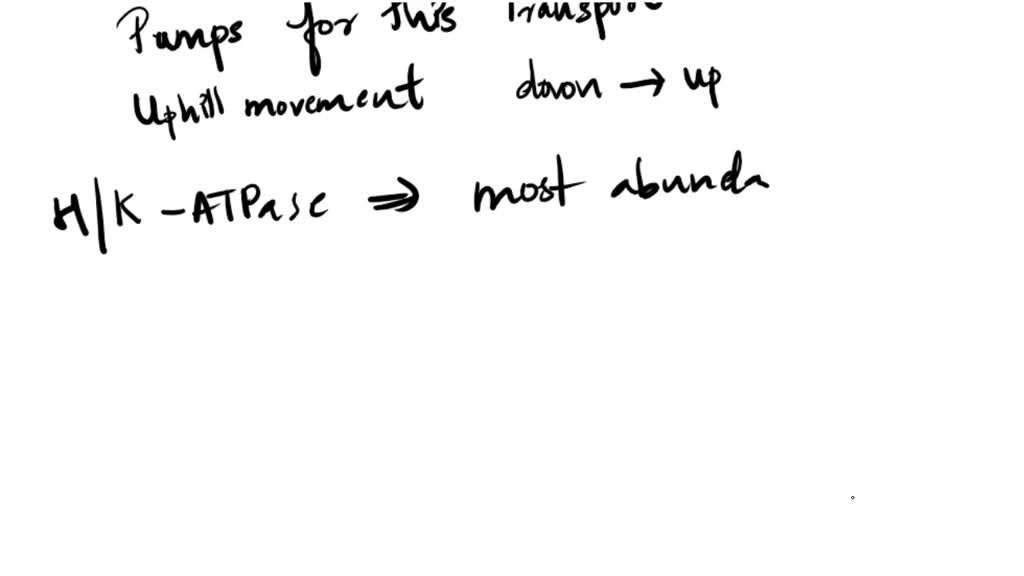SOLVED 2. Draw and explain the mechanism of action of the Na+/K+ pump