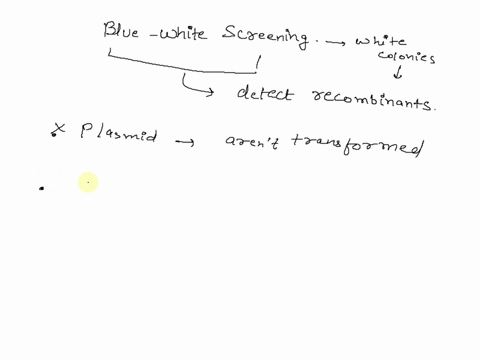 evo-doing-le-y-sciddmy-bacteualcolonigy-vatuule-culamv-indicalc-iha-ihat-colony_-0-the-plasmid-was-successfully-trangiormed-thal-colcny-has-the-plasmid-with-the-recombnant-gene-tecause-tne-b-94684