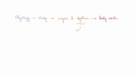 physiology-is-best-described-as-select-one-a-form-structure-location-of-body-parts-b-function-how-organs-and-systems-in-the-body-work-c-all-systems-maintaining-health-with-a-dynamic-equilibr-51078