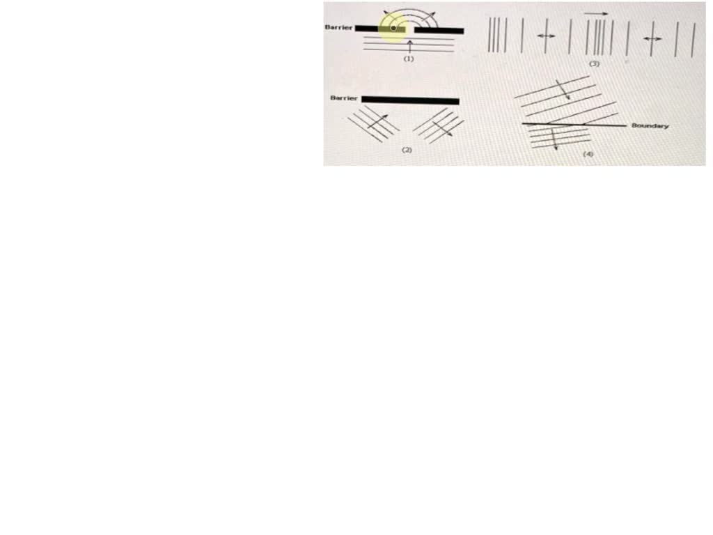 SOLVED A diving board is modeled as a simply supported beam with an overhang. a. What is the