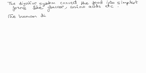 in-homeosiasis-which-organ-systems-central-role-is-to-process-nutrients-for-cells-tissuesend-organs-muluple-choice-digesilve-system-rcsptaiony-system-immune-system-wlnbn-system-11327