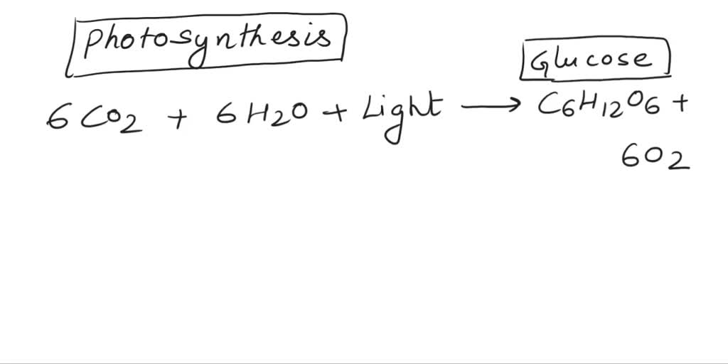SOLVED: If a plant starts with 20 molecules of water, how many ...