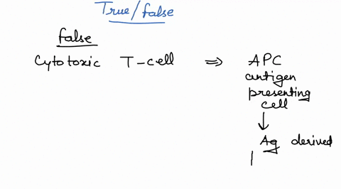 question-33-2-points-cytotoxic-t-lymphocytes-can-target-virally-infected-host-cells-which-are-lacking-mhc-molecules-true-false-04953