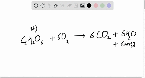 question-32-during-e-glucose-oxidation-what-happens-to-the-carbon-atoms-in-glucose-they-are-given-off-as-co2-they-are-turned-into-cellulose-molecules-they-become-substrate-for-the-atp-syntha-26004