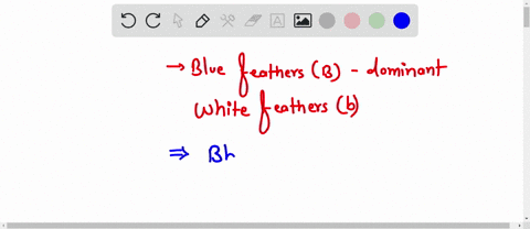 a-male-bird-that-is-heterozygous-for-blue-feathers-dominant-is-crossed-with-a-bird-that-is-homozygous-for-white-feathers-recessive-what-are-the-two-birds-genotypes-32437