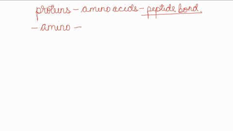 proteins-are-made-of-amino-acids-linked-together-into-an-______-amino-acids-are-linked-together-by-forming-an______-between-the-______-group-of-one-amino-acid-with-the-______-group-of-anothe-79453