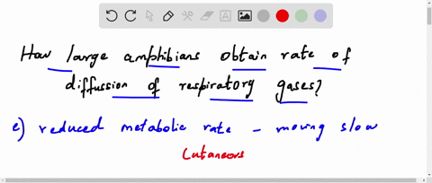 question-15-triet-remaining-there-are-amphibians-that-are-even-larger-than-bullfrogs-which-of-the-following-could-explain-how-such-large-amphibium-could-obtain-sufficient-rate-of-diffusion-o-18864