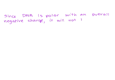 what-is-the-role-of-alcohol-in-extracting-dna-1dna-is-a-polar-molecule-with-an-overall-negative-charge-and-as-such-is-not-soluble-in-alcohol-and-therefore-precipitates-2dna-is-a-polar-molecu-58622