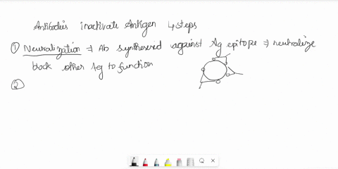 name-4-ways-antibodies-can-inactivate-antigens-59219
