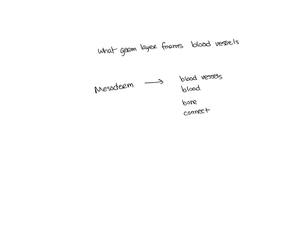 Solved Blood Vessels Originate From The And Are Found In The Of Solved Blood Vessels Originate From The And Are Found In The Of