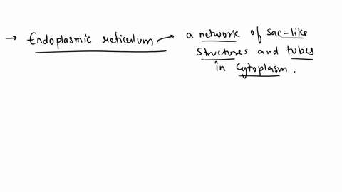 what-is-the-dictionary-function-of-endoplasmic-reticulum-and-smooth-endoplasmic-reticulum-11701