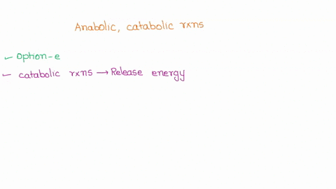 which-of-the-following-statements-is-true-0-anabolic-reactions-usually-break-larger-molecules-into-smaller-ones-anabolic-reactions-release-energy-exergonic-reactions-yield-products-that-have-11043