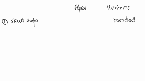 describe-skeletal-and-skull-differences-between-apes-and-hominins-47722