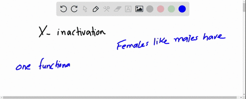 which-of-the-following-statements-about-x-inactivation-is-false-a-x-inactivation-results-in-a-barr-body-b-x-chromosome-inactivation-equalizes-the-gene-dosage-between-mammalian-male-and-femal-89686