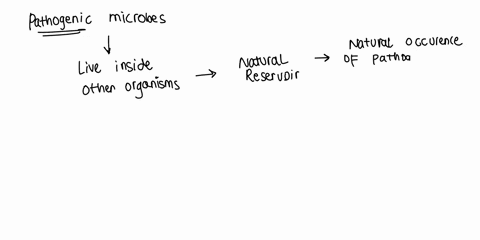 many-potentially-pathogenic-organisms-normally-iive-in-other-animals-the-anlmals-that-they-normally-live-within-le-the-organism-borellia-burgdorferi-lives-in-mice-ebola-came-from-bats-are-ca-84047