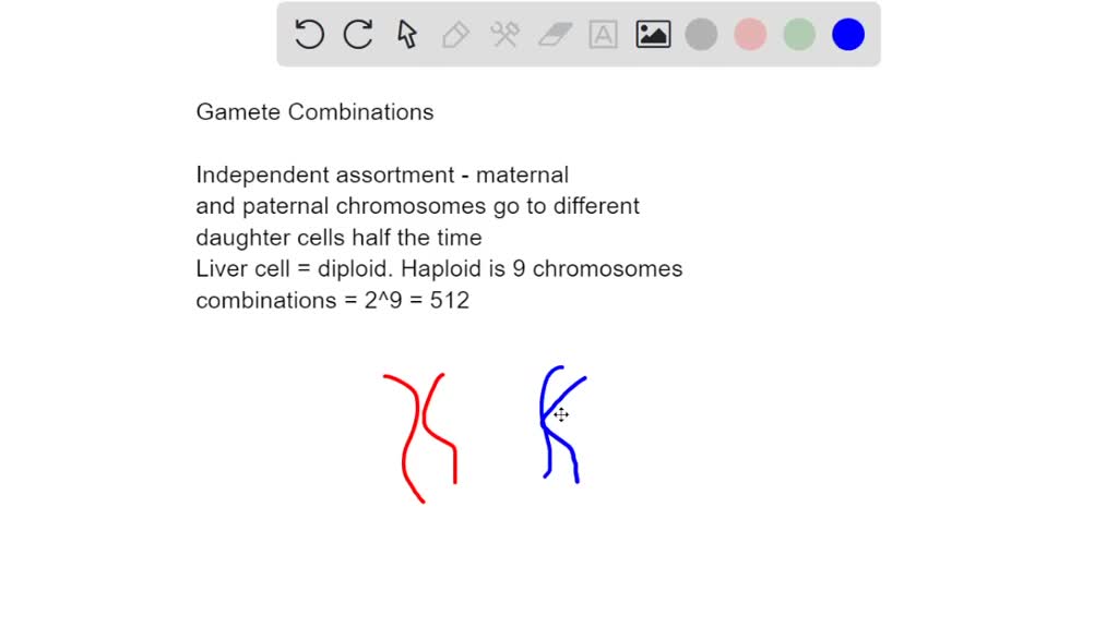 SOLVED You isolate cell from the liver of lab animal . After running