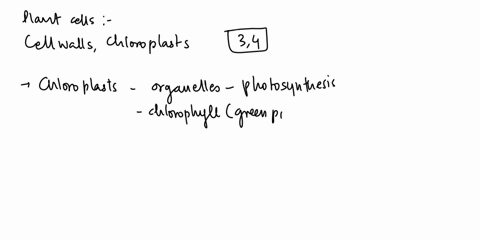 which-of-the-following-organellesstructures-does-a-plant-cell-have-that-an-animal-cell-does-not-select-all-that-apply-cytoplasm-cell-membrane-chloroplast-cell-wall-93777