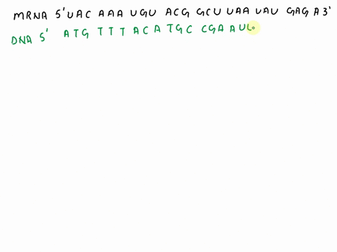 second-letter-uuu-phe-ucu-uau-tyr-ugu-cys-u-uuc-f-ucc-uac-y-ugc-c-ser-c-uua-leu-uca-s-uaa-stop-uga-stop-a-uug-l-ucg-uag-stop-ugg-trp-g-w-cuu-ccu-cau-his-cuc-ccc-cac-h-leu-pro-cua-l-cca-p-caa-65627