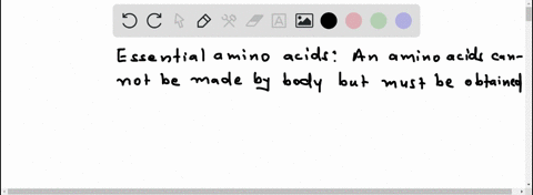 what-are-essential-amino-acids-77292