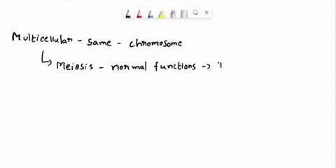 47-dna-replication-occurs-ensuring-that-all-cells-in-multicellular-organism-carry-the-same-genctic-information-a-in-few-hours-b-slowly-before-cell-divides-d-after-cell-division-ends-e-whenev-83982