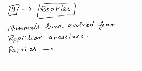 mammals-have-evolved-from-a-birds-b-reptiles-c-amphibians-d-none-of-the-above-46231