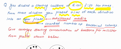you-diluted-a-starting-culture-of-e-coli-110-ten-times-from-these-dilutions-you-plated-0lml-of-each-dilution-onto-an-agar-plate-you-then-counted-the-number-of-bacterial-colonies-that-grew-af-11613