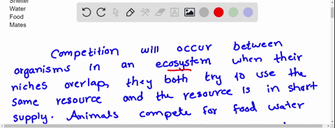 ecosystems-relationshipsquestion-2-which-of-the-following-are-resources-that-individuals-of-different-species-might-compete-for-in-an-ecosystem_-check-all-that-apply_-hoose-all-that-apply-sh-99176