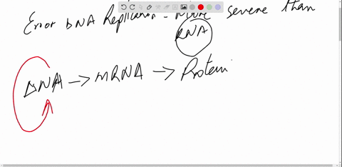 why-are-dna-replication-errors-are-more-severe-than-those-in-the-transcription-of-rna-97942