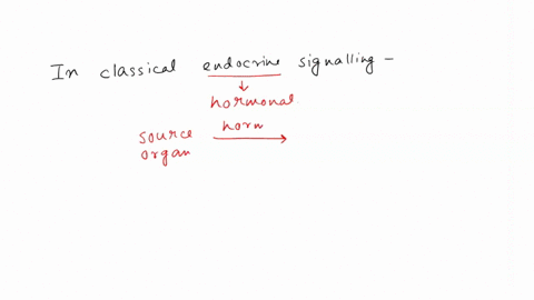 in-classical-endocrine-signaling-a-hormones-are-released-by-neurons-b-hormones-are-released-into-interstitial-fluid-c-hormones-are-released-into-the-blood-d-hormones-target-the-cells-that-re-31137