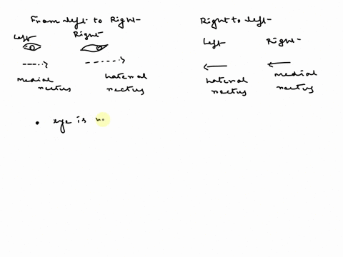 3testing-the-extraocular-muscles-there-are-six-extraoclar-muscles-lateralcnvi-andmedial-rectuscn-i1-superior-and-inferiorrectuscn-ii-superiorcn-ivand-inferior-obllquecn-iii-in-this-procedure-43419