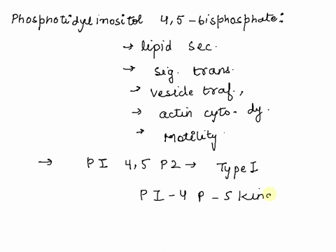 the-phosphatidylinositol-4-5-bisphosphate-pip2-is-the-precursor-molecule-that-is-cleaved-into-1-2-diacylglycerol-dag-and-inositol-1-4-5-triphosphate-ip3-which-of-the-following-enzyme-carries-61514