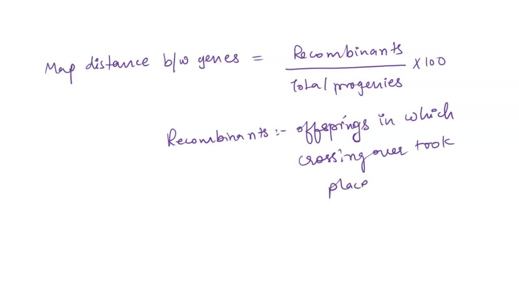 SOLVED THE COLOR OF CORN KERNELS This cob represents the F2 generation