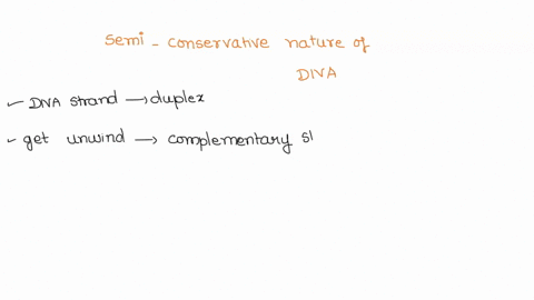 does-the-semi-conservative-nature-of-dna-replication-cause-variation-if-so-explain-how-98284