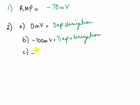 chapter-11-action-potentiais-pogil-model-1-alteration-of-resfing-membrane-potential-depolarization-hvperpolarization-v-of-ta-1-e-m-v-70mv-85mv-stimulus-stimulus-time-ms-questions-1-resting-m-03768