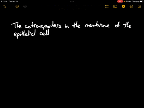 which-of-the-following-events-requires-cotransport-secondary-active-transport-in-an-intestinal-epithelial-cell-a-uptake-of-glucose-b-export-of-glucose-c-uptake-of-na-d-movement-of-glucose-ac-31209
