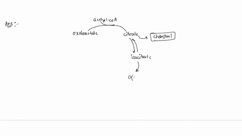 the-citric-acid-cycle-has-catabolic-role-oxidizing-acetate-into-coz-and-generating-energy-and-an-anabolic-role-many-of-the-citric-acid-cycle-intermediates-serve-as-precursors-for-the-biosynt-25896