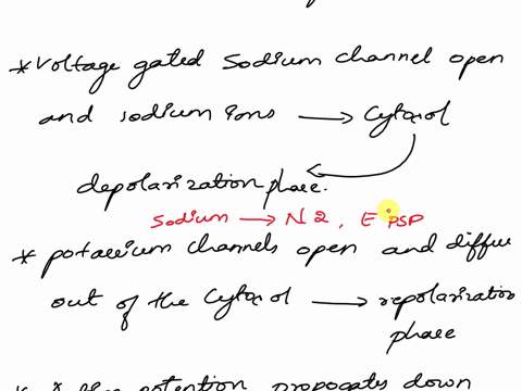 procedure-time-to-trace-lets-now-trace-the-entire-series-of-events-through-a-three-neuron-loop-including-the-steps-of-synaptic-transmission-between-neurons-1-and-2-the-propagation-of-the-act-26478