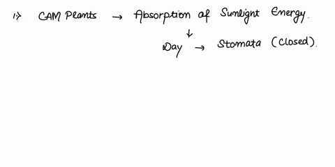 1-plants-that-fix-co2-into-emative-that-best-completes-the-statement-organic-acids-at-night-when-the-stoma-ar-open-and-answers-the-question-when-the-stoma-are-closed-are-called-carry-out-the-95913