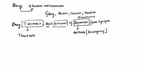 neurotransmitter-it-affects-view-avallable-hints-reset-help-ecstasymdma-this-drug-increases-alertness-and-causes-a-sensation-of-a-rush-it-blocks-the-cocaine-removal-of-dopamine-from-a-synaps-12103