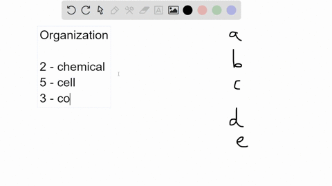 which-of-the-following-is-a-correct-sequence-of-levels-of-biological-organization-1-organ-system-2-3-78158