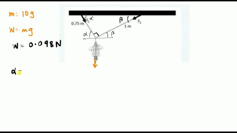 a-spider-ol-mass-equal-to-0-g-hangs-rom-its-webs-as-shown-below-calculate-the-magnitude-of-the-tension-forces-and-f-we-ssume-here-that-the-webs-e-inextensible-ad-have-negligible-mass-_-075-m-23656