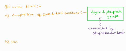 select-the-correct-answer-from-each-drop-down-menu-the-backbone-of-dna-and-rna-is-composed-of-_______________-groups-dna-is-double-stranded-due-to-interactions-between-adenine-cytosine-guani-86933