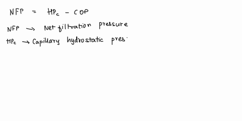 activity-3-evidence-based-reasoning-application-problems-background-in-physioex-5-you-investigated-the-impact-of-the-magnitude-of-pressure-gradient-on-flow-in-lecture-you-leamed-that-the-ter-53361