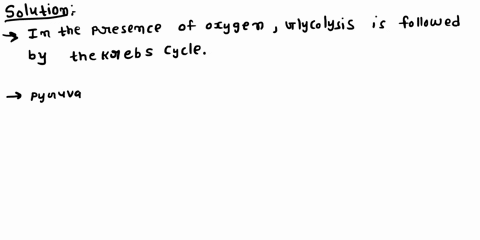 in-the-presence-of-oxygen-glycolysis-is-followed-by-a-the-krebs-cycle-b-lactic-acid-fermentation-c-alcoholic-fermentation-d-photosynthesis-38816