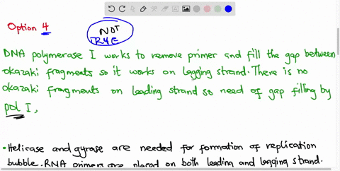 6-which-of-the-following-statements-is-not-true-with-respect-to-dna-replication-rna-primers-are-placed-on-both-leading-and-lagging-strands-the-lagging-and-leading-strand-are-made-in-the-5-to-68932