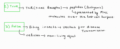 question-64-mandatory-1-point-antibodies-are-soluble-proteins-produced-by-t-cells-true-false-question-65-mandatory-1-point-the-t-cell-with-its-t-cell-receptor-can-recognize-antigens-only-whe-09001
