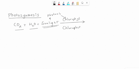 which-two-substances-are-the-products-of-photosynthesis-a-carbon-dioxide-and-glucose-b-carbon-dioxide-and-water-c-oxygen-and-carbon-dioxide-d-oxygen-and-glucose-39335
