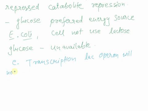 1-what-happens-in-the-lac-operon-when-both-lactose-and-glucose-are-present-in-the-environment-a-transcription-of-the-lac-operon-structural-genes-will-occur-b-transcription-of-the-lac-operon-02056