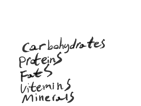 what-are-the-essential-constituents-of-food
