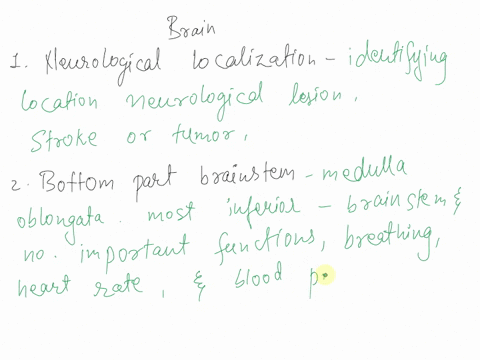 1what-is-neurological-localization-2brain-surface-brainstem-what-is-at-the-bottom-part-of-the-brain-stem-3what-is-the-cerebellum-responsible-for-4what-is-the-most-prominent-feature-of-the-ve-08761
